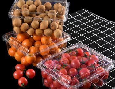 Disposable Fruit & Vegetable Container