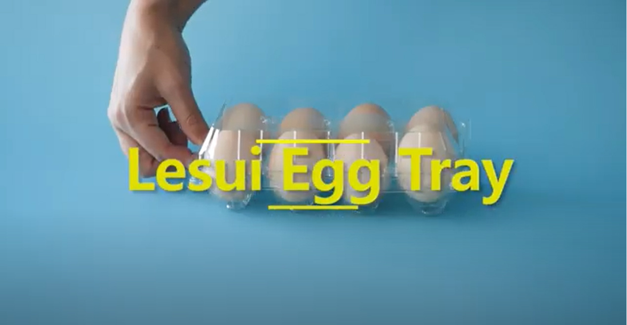 Egg Biodegradable Tray