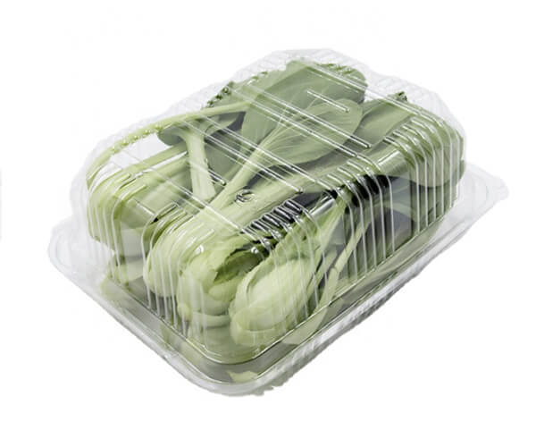 biodegradable food packaging suppliers