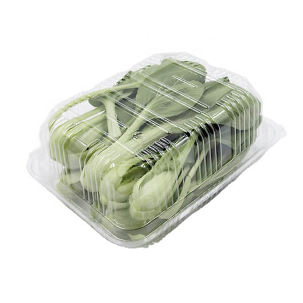 Disposable Food High Quality Cheap Plastic Container for Meat Rice Vegetables