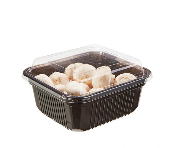 compartment trays disposable
