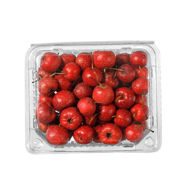 Reusable Cherries Food Clear Clamshell Folded Fruit Trays Storage Containers with Lid