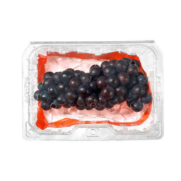 Punching Design Fresh Fruits Grapes Packaging and Storaging Clear Container with Holes