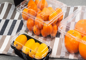 Global Trends in the Production and Consumption of Disposable Plastic Fruit Containers
