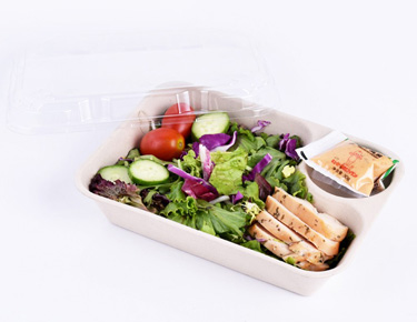 Disposable Salad Container