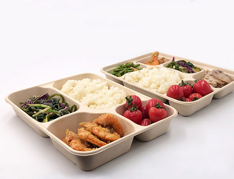 Take Away Food Container