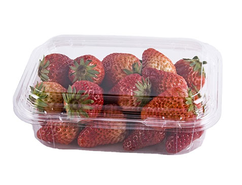 Disposable Fruit Containers