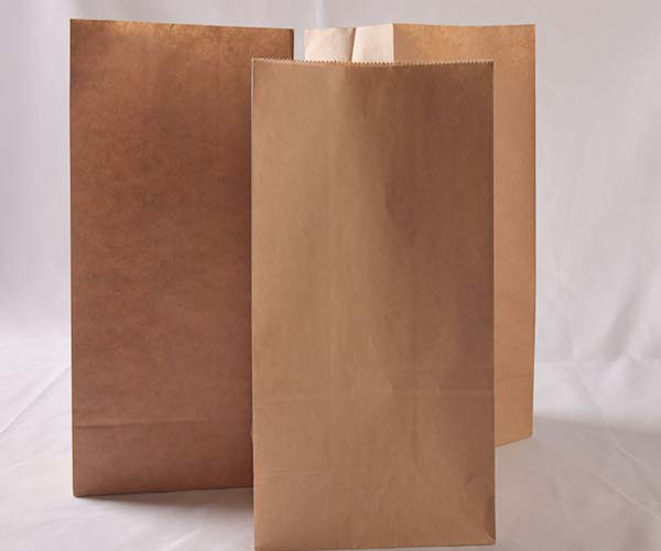 packaging paper bags for food