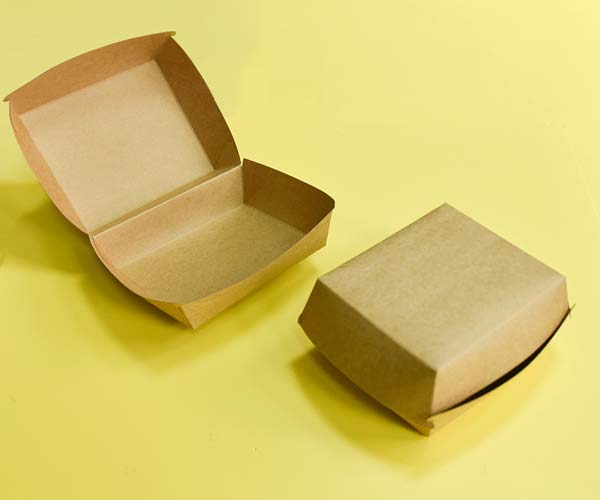 biodegradable paper packaging