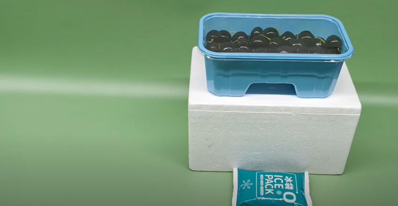Take Away Fruit Biodegradable Packaging