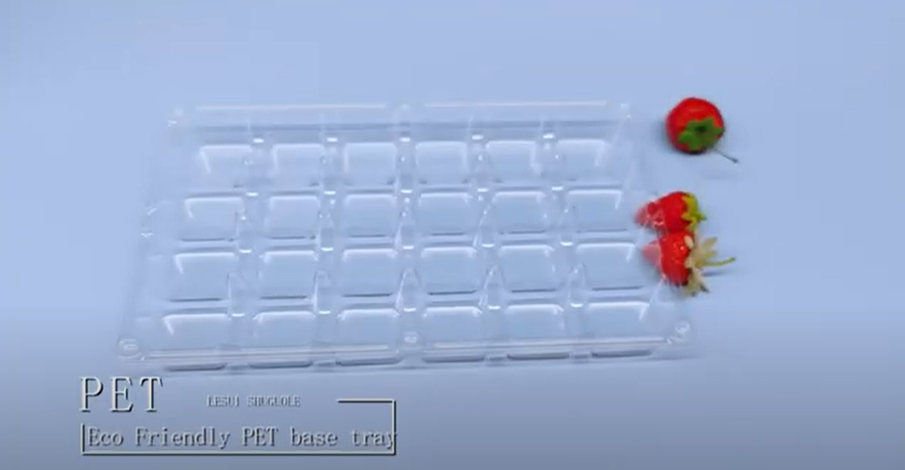 Strawberry Biodegradable Tray