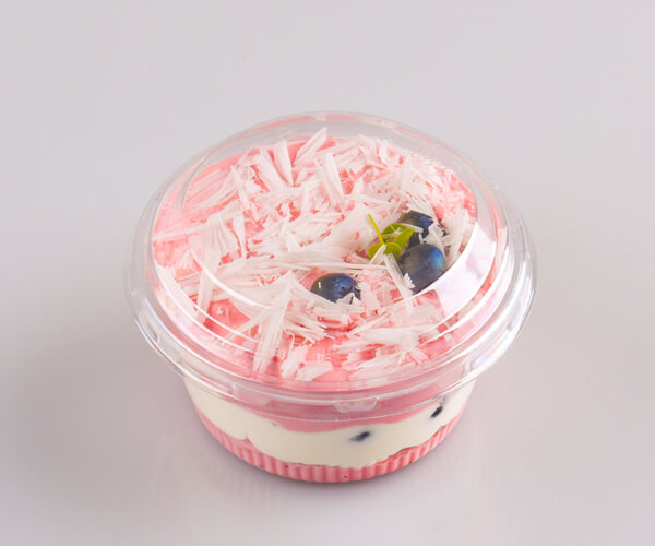 plastic cake container with clear dome lid