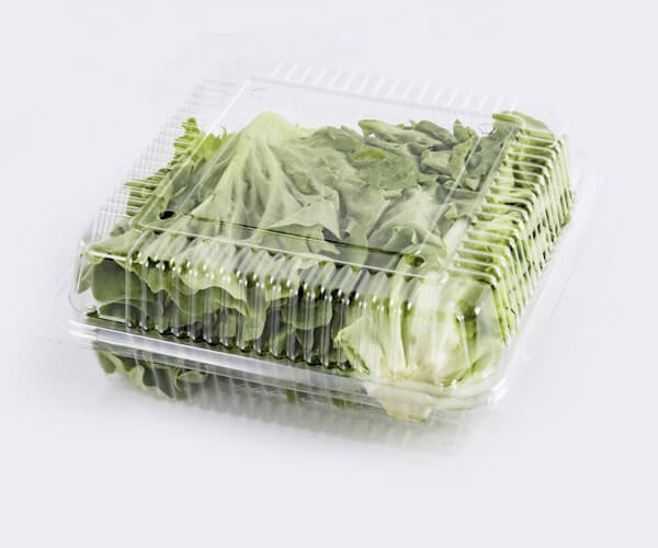 biodegradable food packaging material