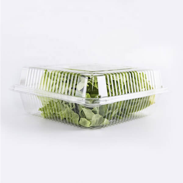 Takeaway Plastic Clamshell Box Waterproof Blister Vegetable Transparent Tray Container