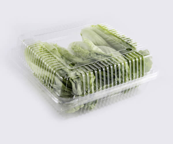 how to make biodegradable food packaging