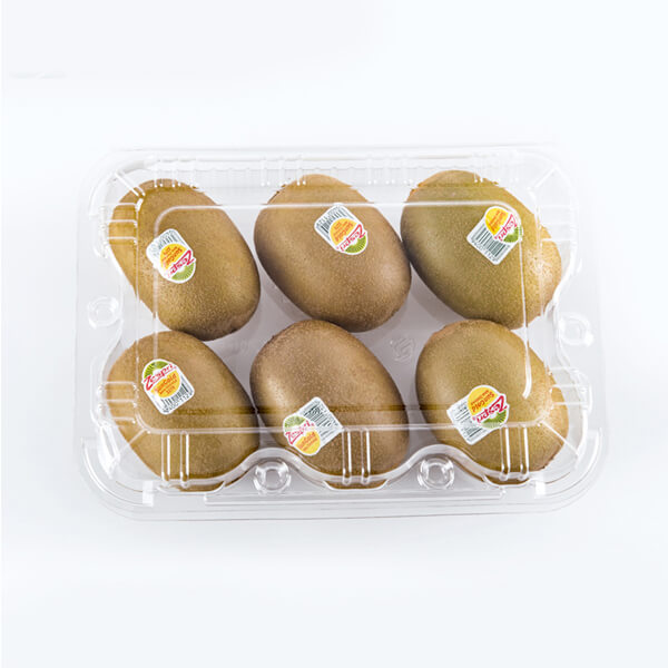 Disposable Clamshell Clear Rectangular Plastic Fruit Box /Containers