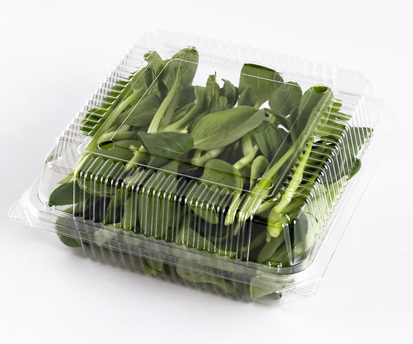what is biodegradable food packaging