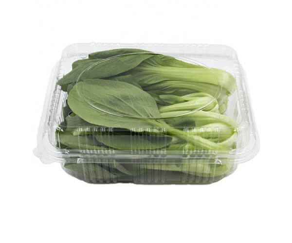 biodegradable food packaging manufacturers