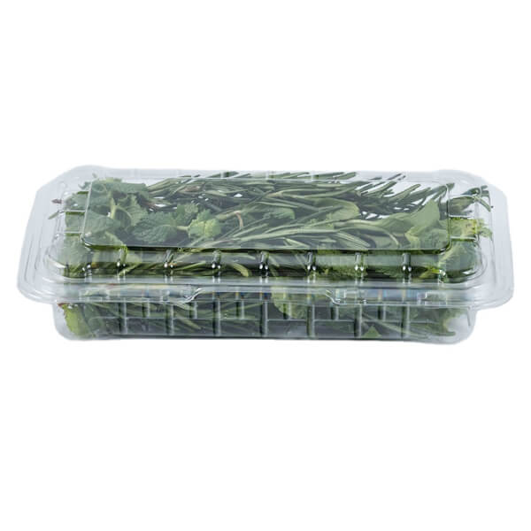 Food Grade Fruit Vegetable Storage Container- Bpa Free Plastic Food Storage Box