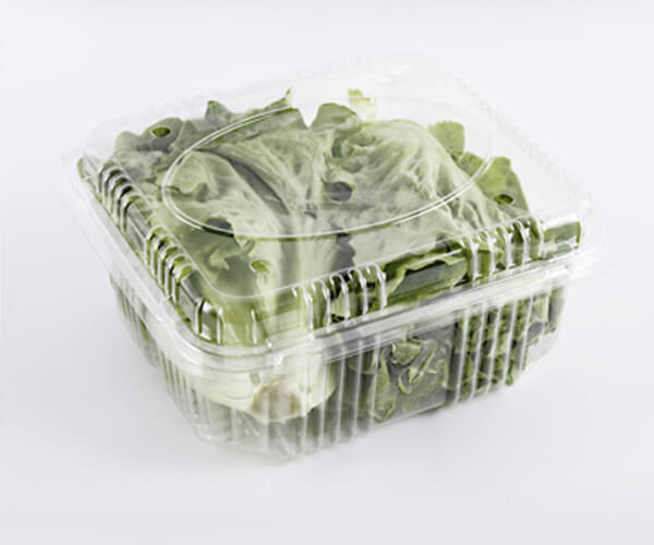biodegradable food packaging material