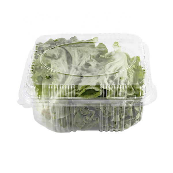 Best Selling Keeping Fresh For Fridge Vegetable Rectangular Plastic Food Container
