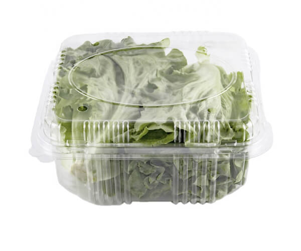 china biodegradable food packaging