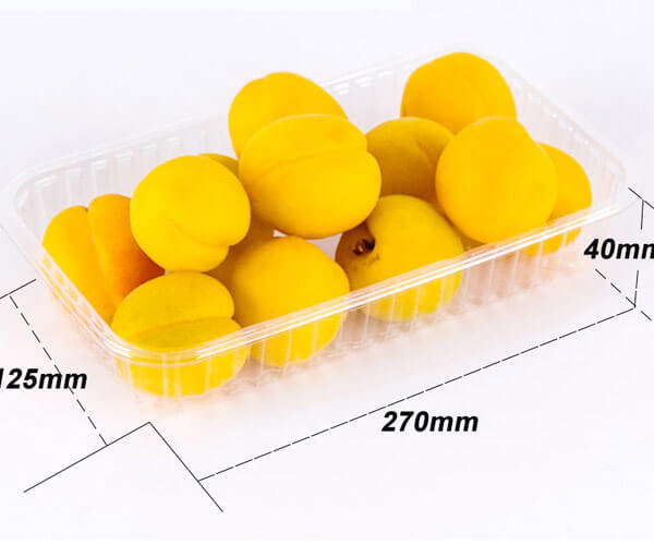 disposable food serving trays
