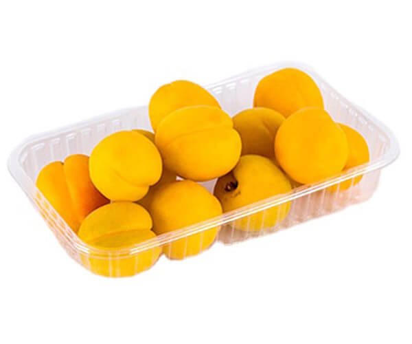 disposable food tray suppliers