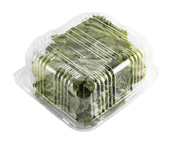 disposable vegetable containers