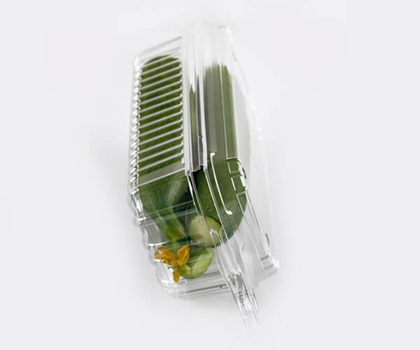 eco friendly food packaging material