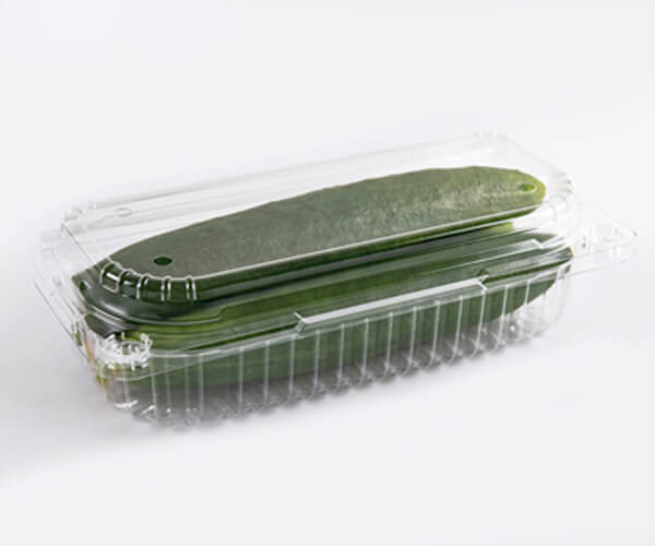 environmentally friendly biodegradable food packaging