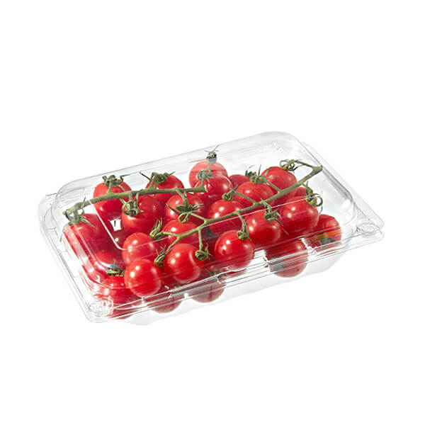Custom Disposable Fruits Vegetable Transparent Disposable Pet Plastic Food Packaging Boxes