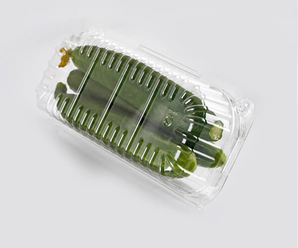 how to make biodegradable food packaging