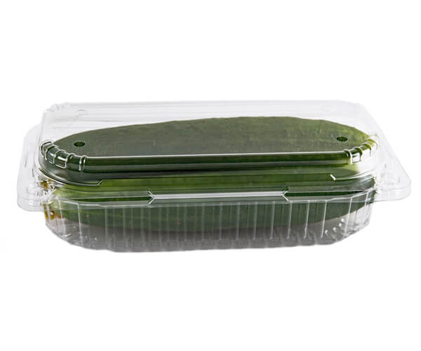 types of biodegradable food packaging