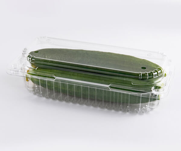 what is biodegradable food packaging
