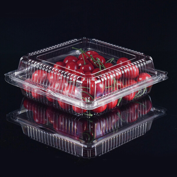China Wholesale Disposable Fruit and Vegetable Chicken Meat Packing Sealing Container