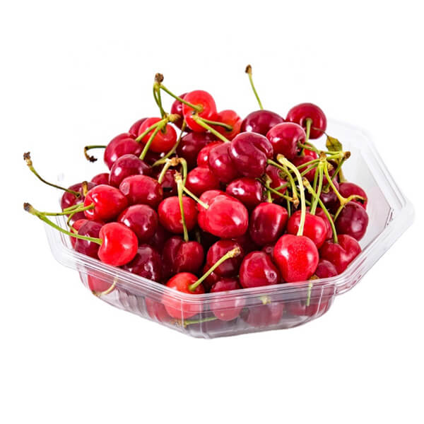 Design Cheap Food Grade Biodegradable Fruit Tray Heat Resistant Clear Packaging Trays