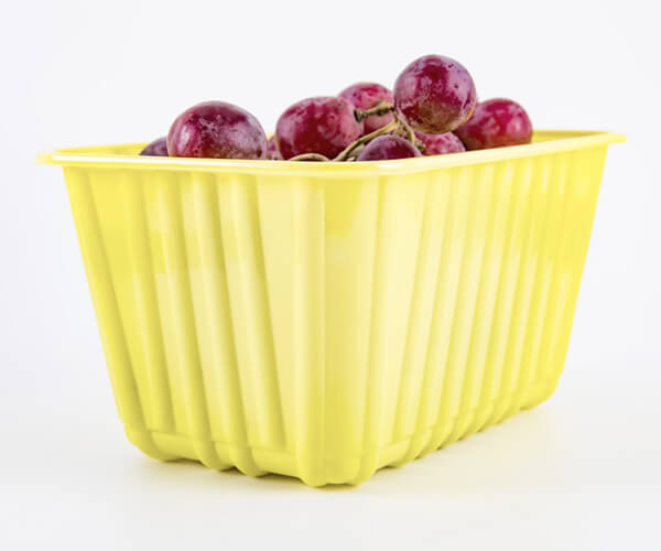disposable plastic fruit tray