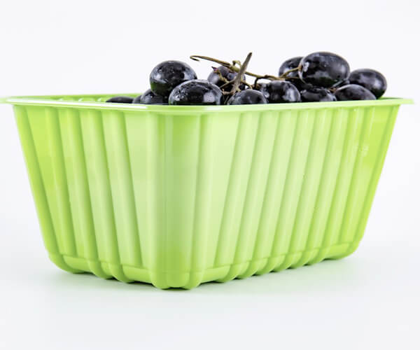 disposable plastic meal tray