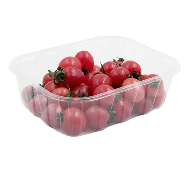 High Quality Service Containers Reusable Fruit Vegetables Packing Catering Trays