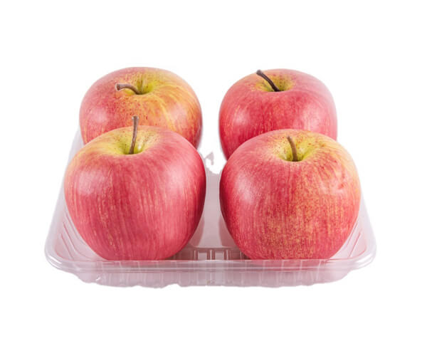 large disposable food trays