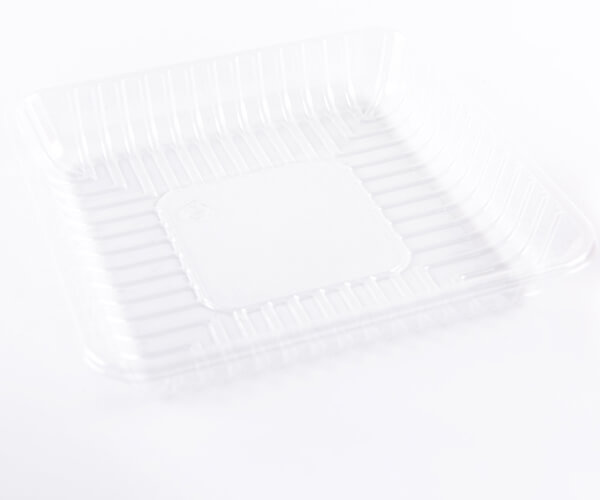 plastic disposable meal tray