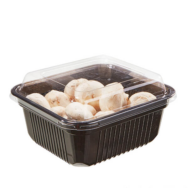 Disposable Plastic PP PET Packing Fruit Vegetable Meat Packaging Food Tray