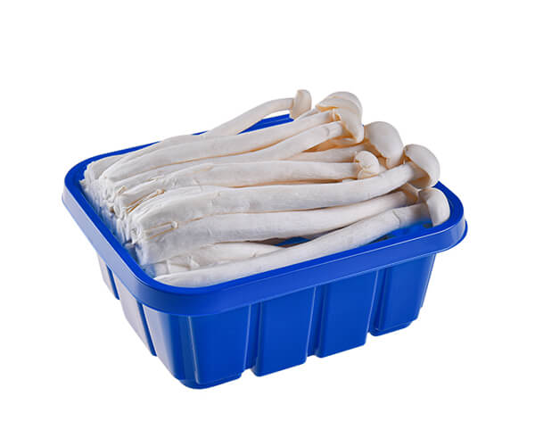 disposable party trays