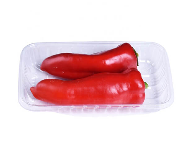 disposable veggie tray container with lid