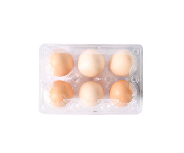 disposable egg tray price