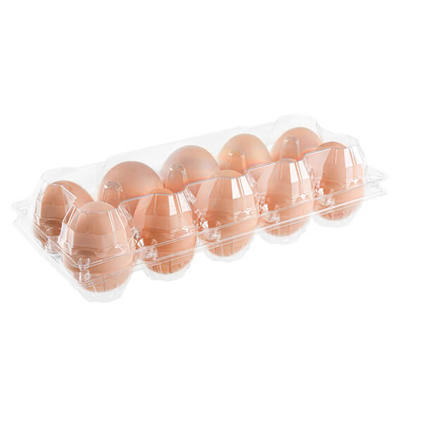 10 Holes Clear Plastic Egg Tray, Medium Size Clear Plastic Egg Cartons