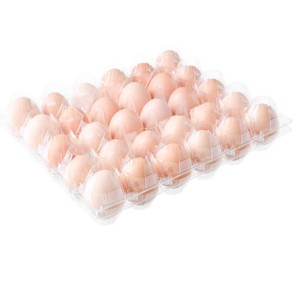 Wholesale 30 Cells Clear Eggs Food Storage Container Custom Plastic Egg