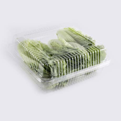 Disposable Vegetable Container