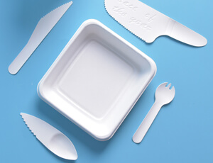 biodegradable cutlery sets